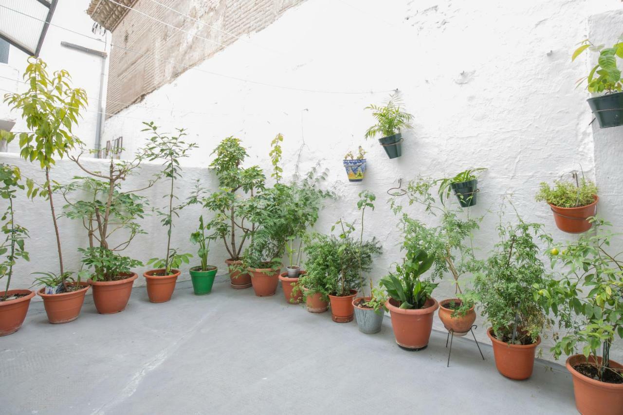 Apartamento Albaycin Granada Ngoại thất bức ảnh